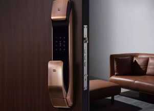 智能門(mén)鎖簡(jiǎn)介 智能門(mén)鎖的技術(shù)分哪幾種,你清楚嗎