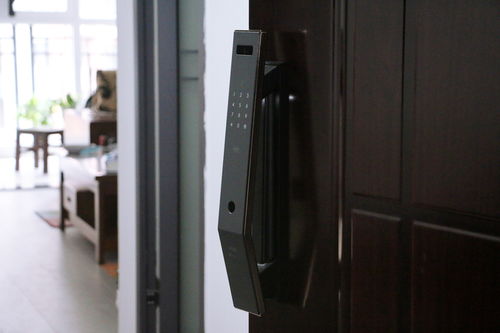 智享安全新體驗(yàn) 華為生態(tài)鏈下的VOC T11 Face人臉識(shí)別智能門鎖深度解析